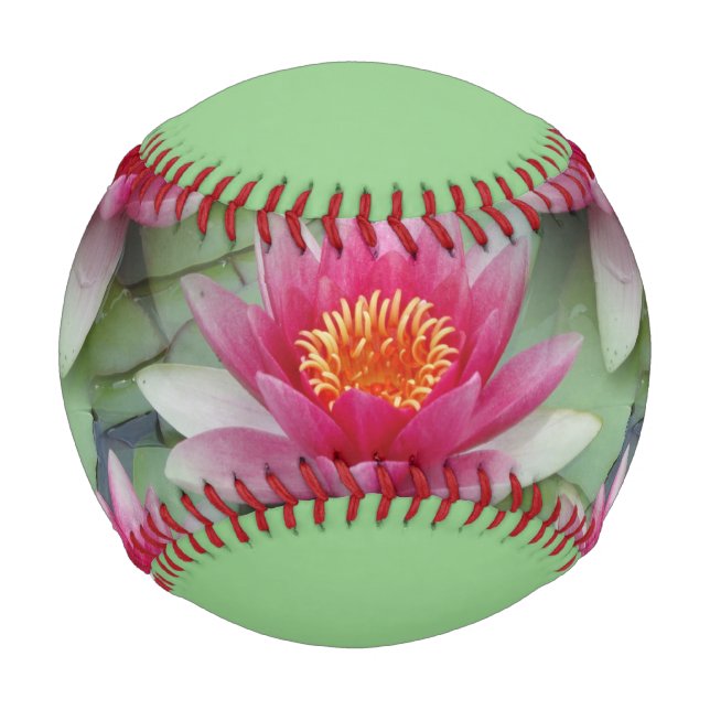 Pink Lotus Water Lily Baseball (Front)