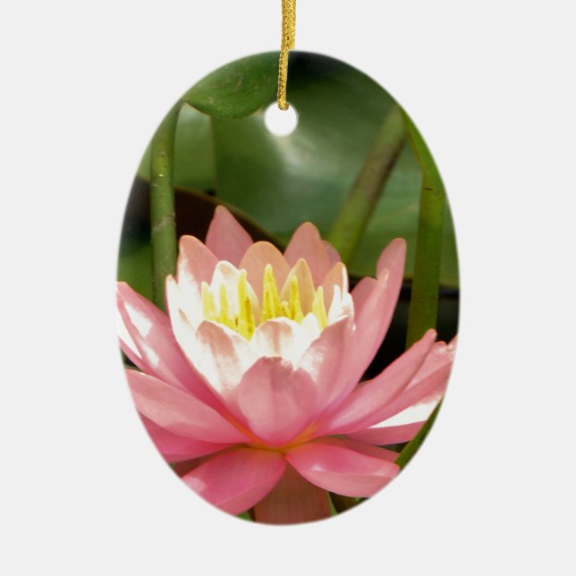 Pink lotus water lily flower ceramic ornament (Front)