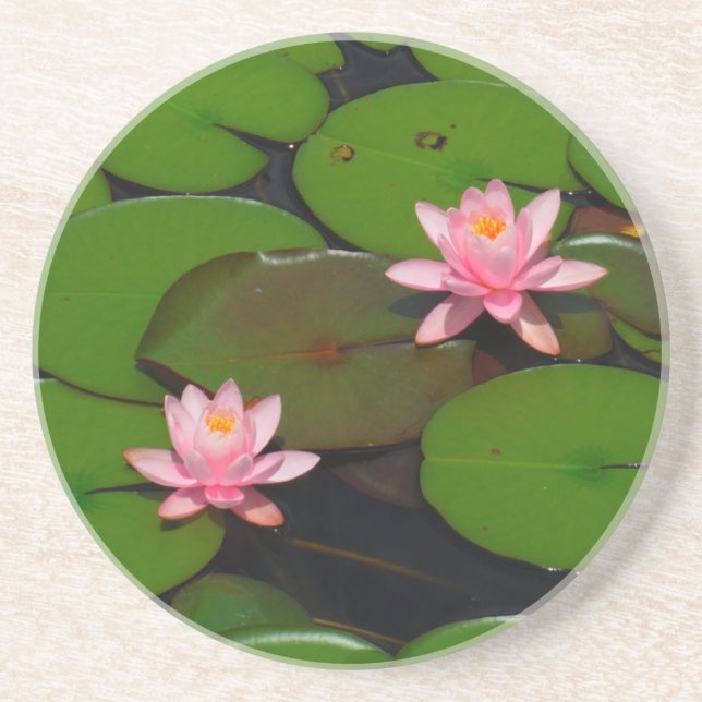 Pink lotus water lily flower  garden, coaster (Front)