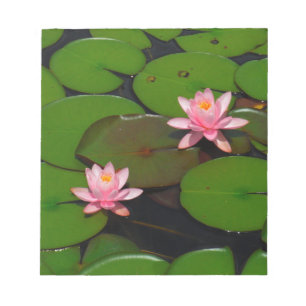 Pink lotus water lily flower garden, notepad