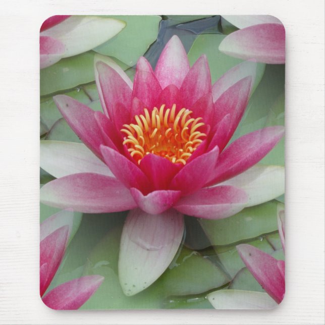 Pink Lotus Water Lily Mouse Pad (Front)