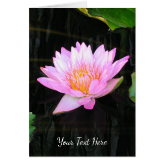 Pink Lotus Waterlily
