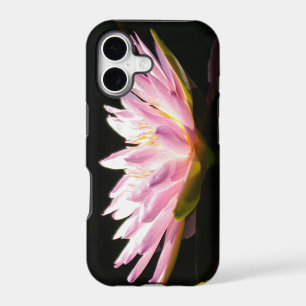 Pink Lotus Waterlily