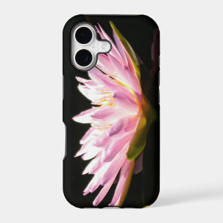 Pink Lotus Waterlily