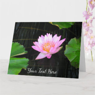 Pink Lotus Waterlily Card
