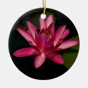 Pink Lotus Waterlily Flower Ornament