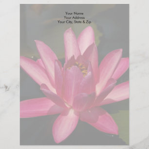 Pink Lotus Waterlily Letterhead