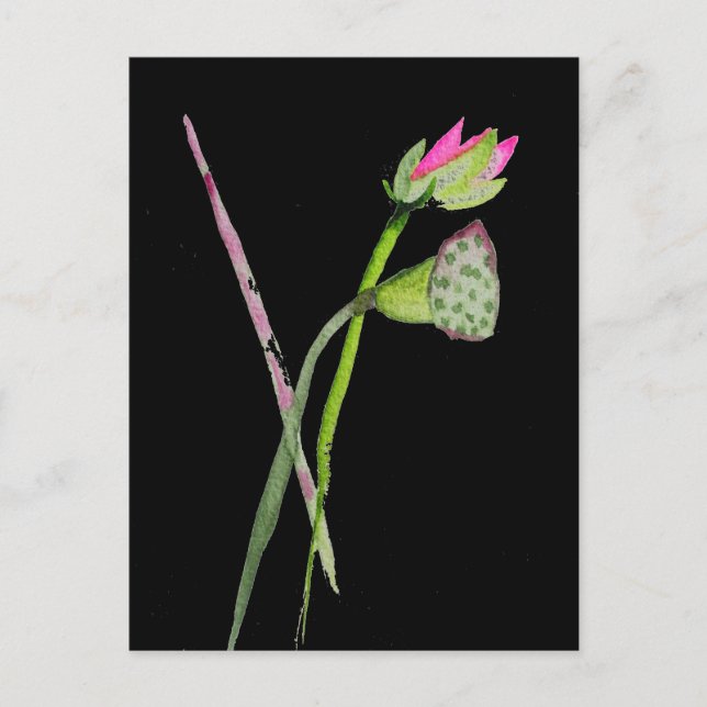 Pink Lotus Zen flower Buddhist Art Postcard (Front)