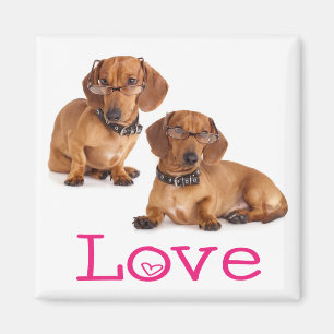 Pink Love Dachshund Puppy Dog Fridge Magnet