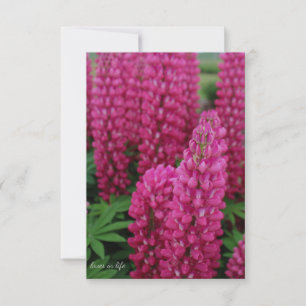 Pink Lupine Flat Note Card
