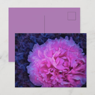 Pink Lush Peony Flower Postcard