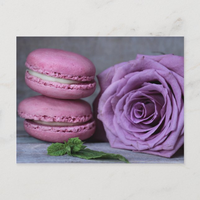 Pink Macarons Purple Rose French Pastry Postcard (Front)