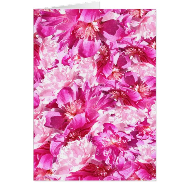 Pink & Magenta Peony Floral Pattern Blank (Front)