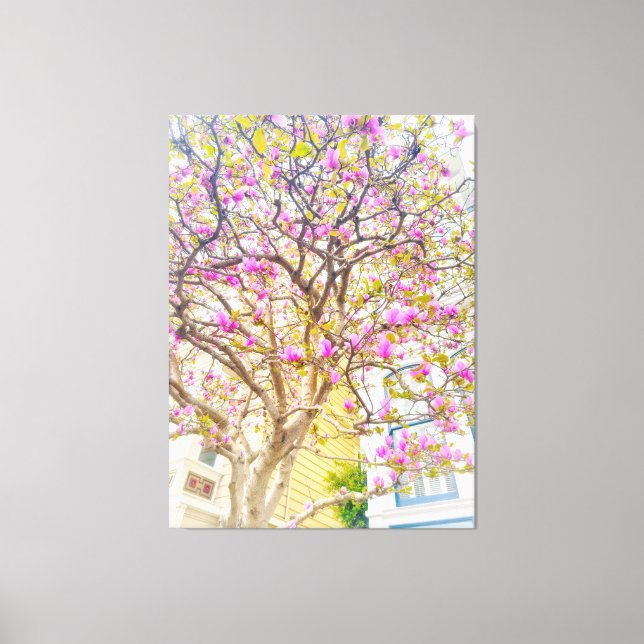 Pink Magnolia Blossoms  Canvas Print (Front)