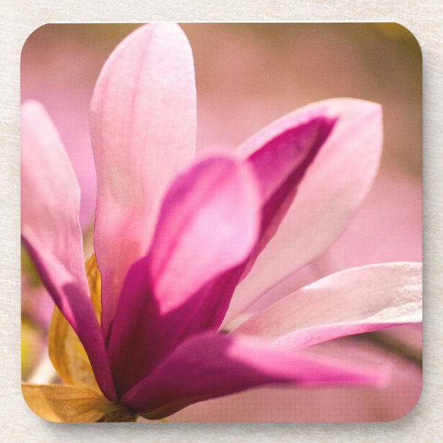 Pink Magnolia Coaster (Front)