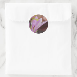 Pink Magnolia Flower Sticker