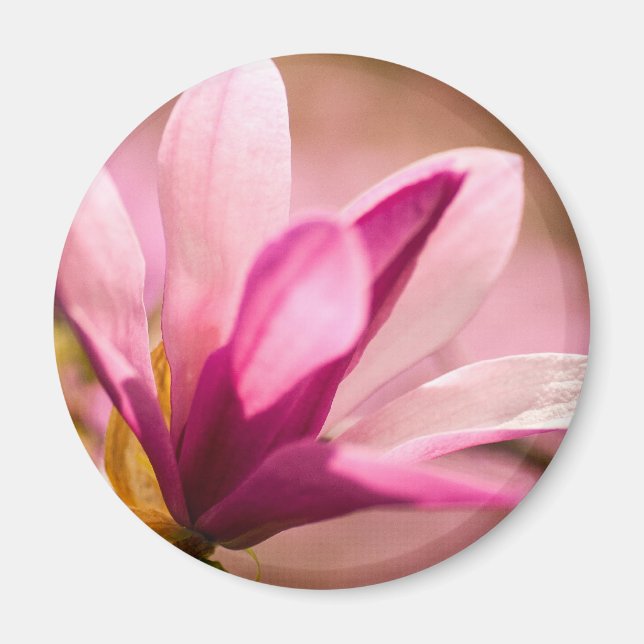 Pink Magnolia Magnet (Front)