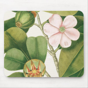 Pink Magnolia Mouse Pad