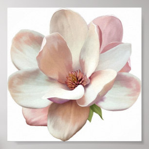 Pink magnolia poster
