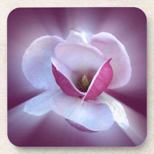 pink magnolia shades coaster