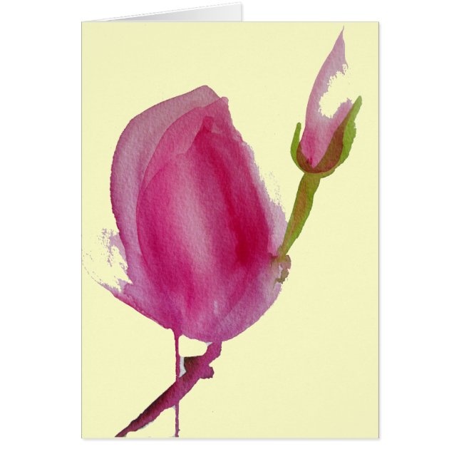 Pink magnolia watercolour flower art (Devant)