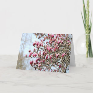 Pink magnolias card