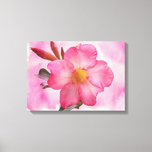 Pink Mandevilla Vine Canvas Print (Front)