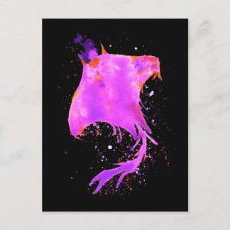 Pink Manta Ray Postcard