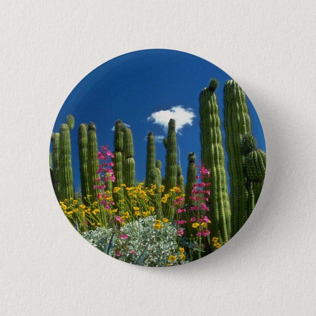 Pink Many plants, Sonoran Desert, Arizona flowers 2 Inch Round Button (Front)