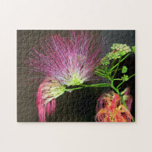 Pink Mimosa Flower Bloom Jigsaw Puzzle