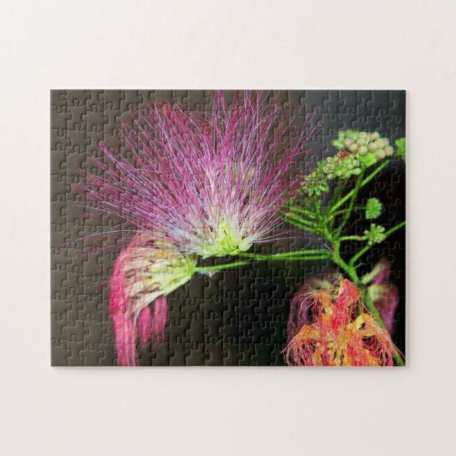 Pink Mimosa Flower Bloom Jigsaw Puzzle (Horizontal)