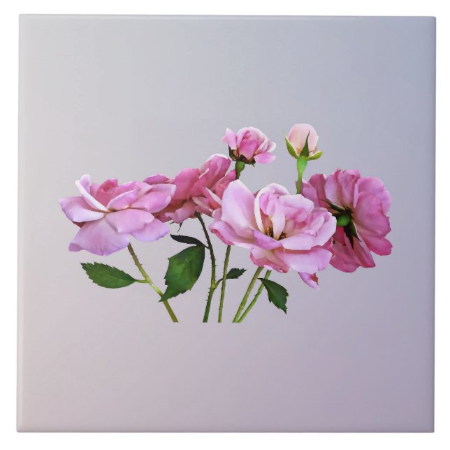 Pink Miniature Roses Tile (Front)