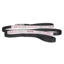 Pink & Mint Stripe Custom Name Dog Leash