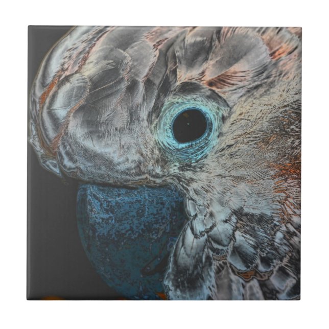 Pink Moluccan Cockatoo Parrot Animal Art Tile (Front)