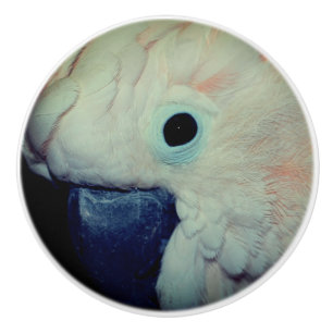 Pink Moluccan Cockatoo Parrot Close Up Ceramic Knob