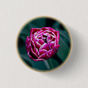 Pink moody tulip 1 inch round button