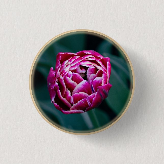 Pink moody tulip  1 inch round button (Front)