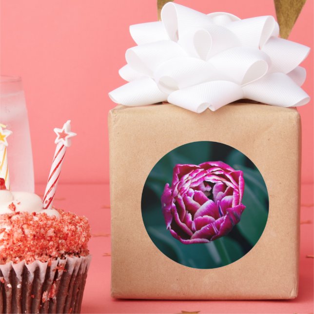 Pink moody tulip  classic round sticker (Party)