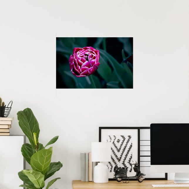 Pink moody tulip  poster (Home Office)