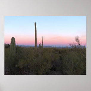 Pink Moon over Saguaro at Sunrise Poster
