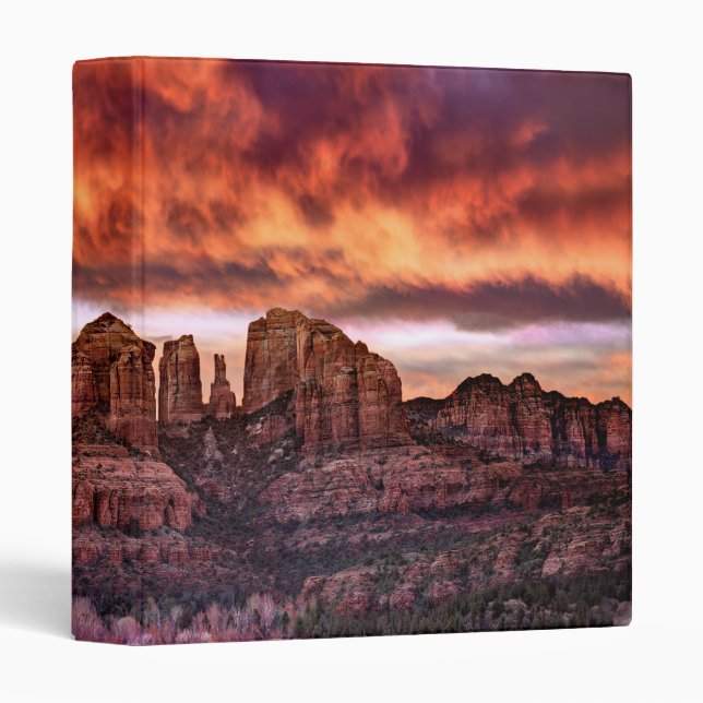 Pink Morning Glory Binder (Front/Spine)