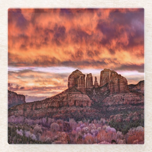 Pink Morning Glory Glass Coaster (Front)