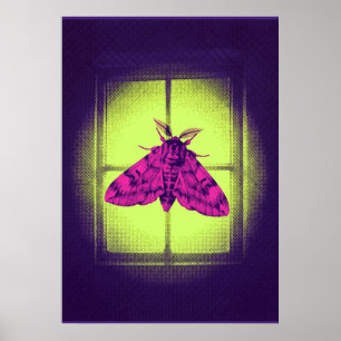 Pink Moth at Glowing Lime Window Pop Art Poster
