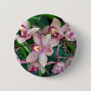 Pink moth orchids 2 inch round button