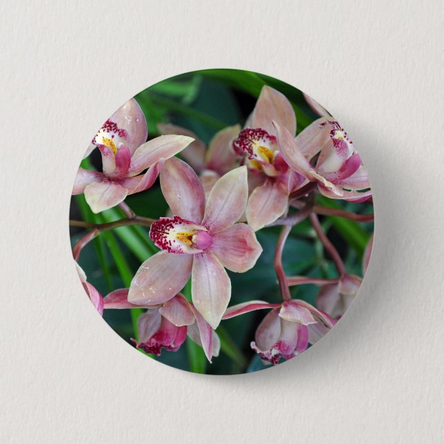 Pink moth orchids 2 inch round button (Front)