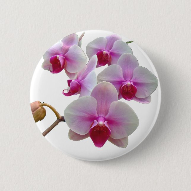Pink Moth Orchids - Phalaenopsis 2 Inch Round Button (Front)