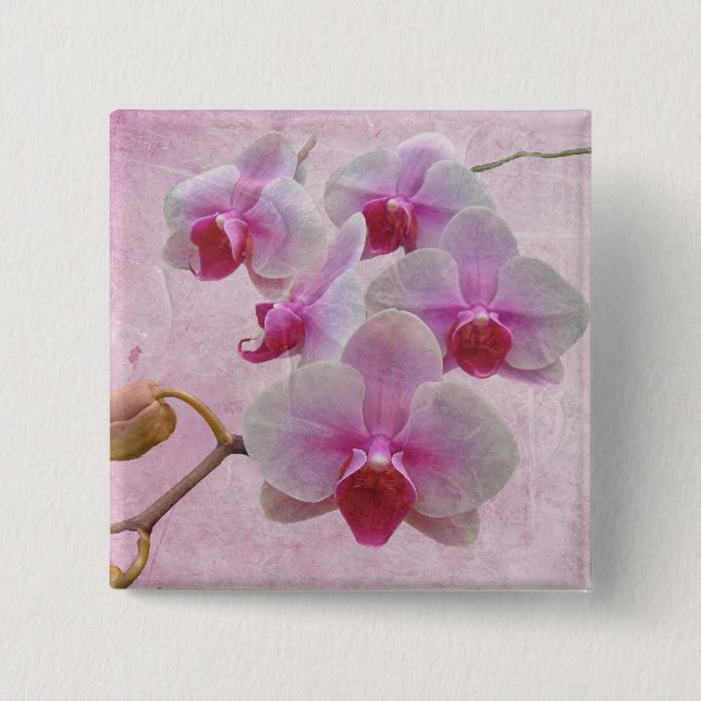 Pink Moth Orchids - Phalaenopsis 2 Inch Square Button (Front)