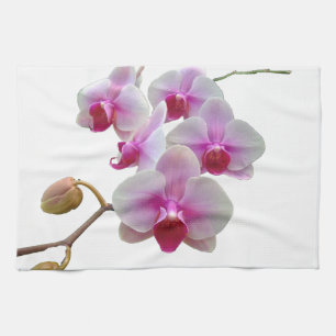 Pink Moth Orchids - Phalaenopsis Kitchen Towel