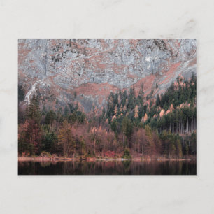 Pink Mountain Blues Postcard