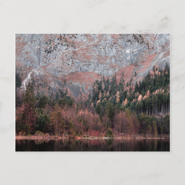 Pink Mountain Blues Postcard (Front)